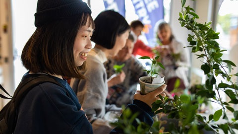 Person holding a plant