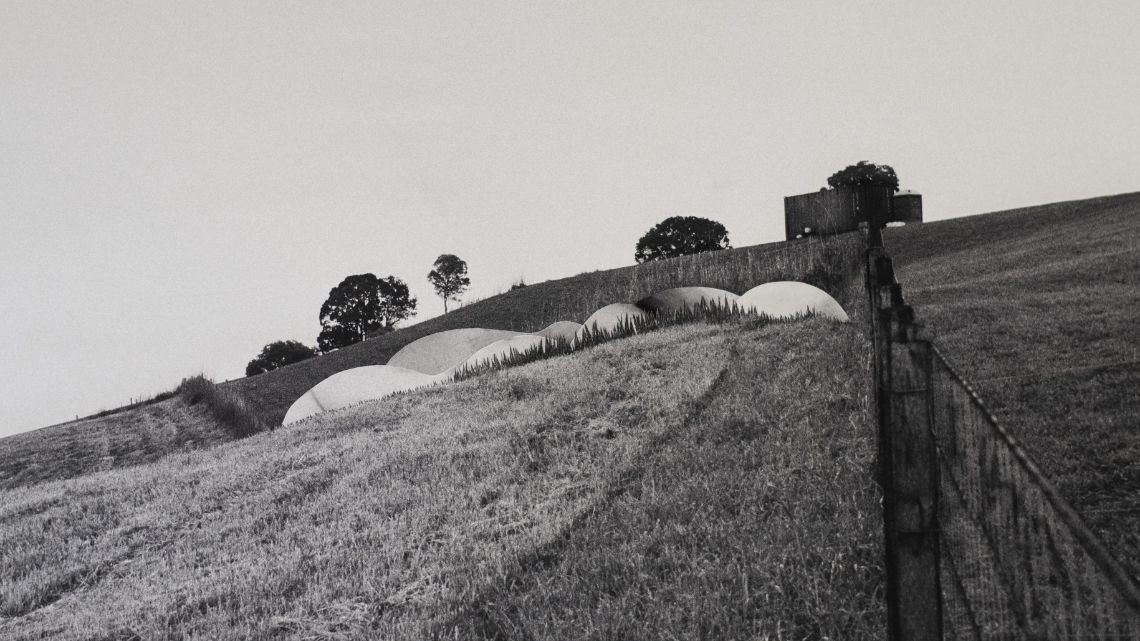 Black and white photo of small mounds in a paddock