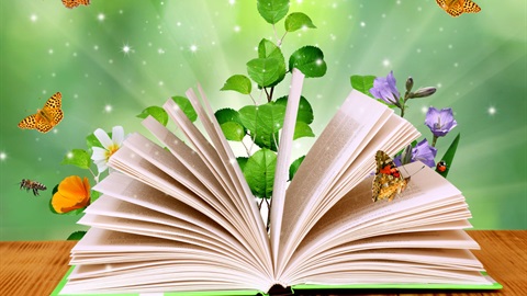 Open book lying on its cover