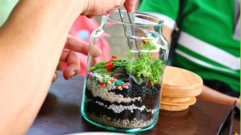 Person inserting tiny plants into a coffee jar