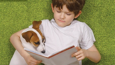 storydogs_web.jpg