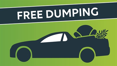 Free dumping