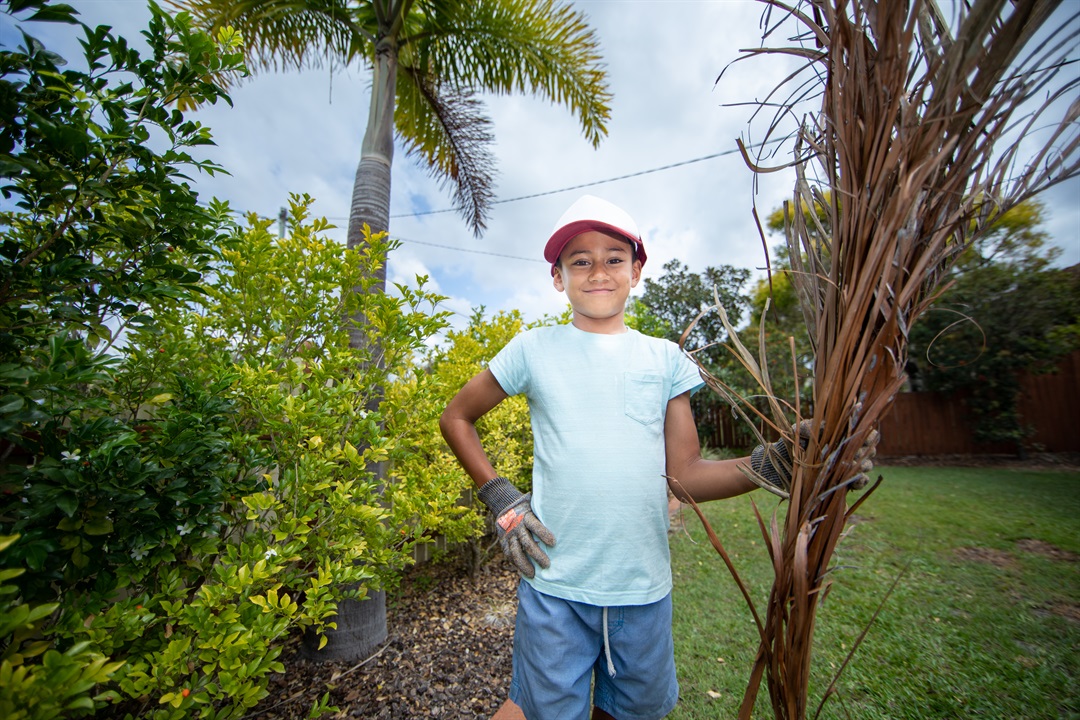 Free Domestic Green Waste Disposal Sept 1930 Moreton Bay Regional