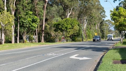Two cars driving on a road surrounded by a variety of big and small trees.
