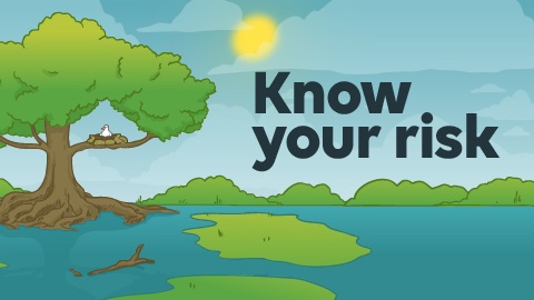 WEB_cityflooddata-2025_media release-knowyourrisk-tile.jpg