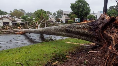 Severe weather damage at Petrie during Tropical Cyclone Alfred