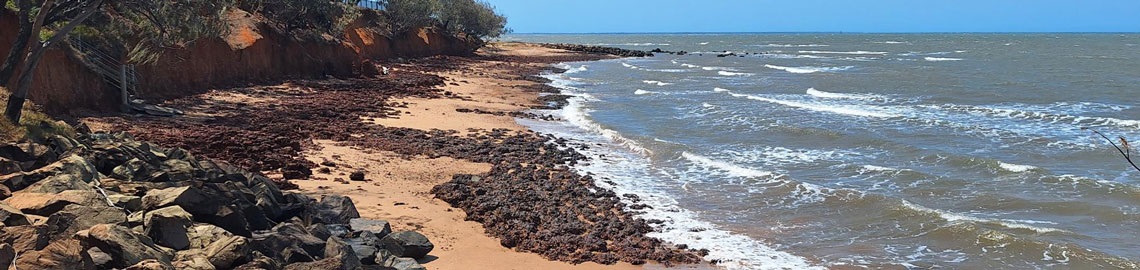 A shoreline with rocks, sand, waves and cliffs