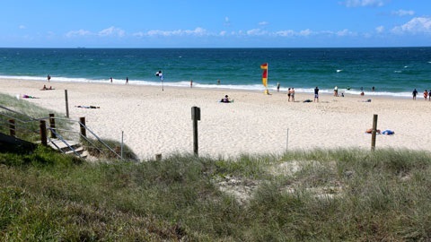 A grassy mound overlooking a beach on a sunny day. In the distance, a red and yellow lifesaving flag is seen amongst various crowds of beachgoers.