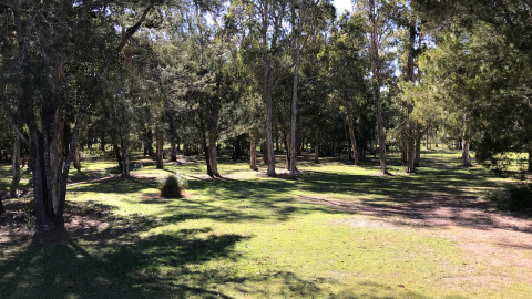 Billabong Place Park