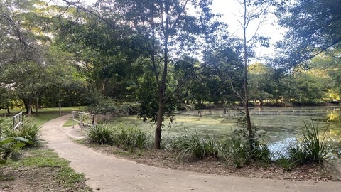 A concrete pathway alongside a creek and trailing through green space.