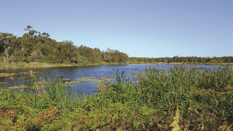 Buckley's Hole Conservation Park Lagoon on a clear day 