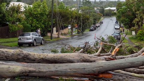Tree and powerlines fallen over road