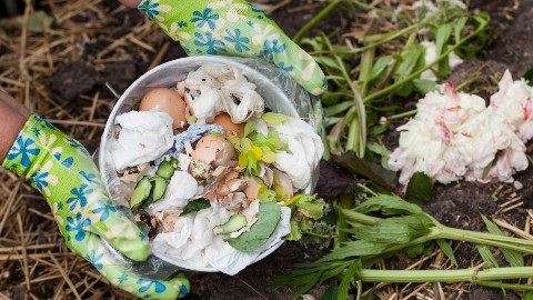 Food Organic and Garden Organic (FOGO) waste
