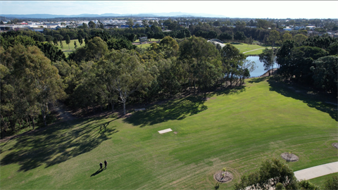 Aerial view of a green field surrounded by trees