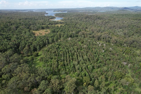 Aerial image of the Samsonvale Koala Nature Refuge