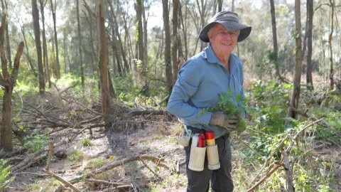 Local resident Gary who is a founding member of the Nathan Rd Bushcare group in Rothwell and has been volunteering for nearly two decades. Gary leads a group of volunteers in hands-on conservation, weeding, and tree planting to develop resilient green spaces.