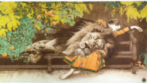 A women is sleeping on a bench. There is a lion on her.