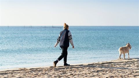 Queens Beach Consultation.jpg