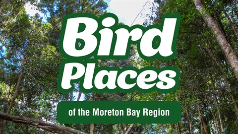 Bird places of Moreton Bay Region