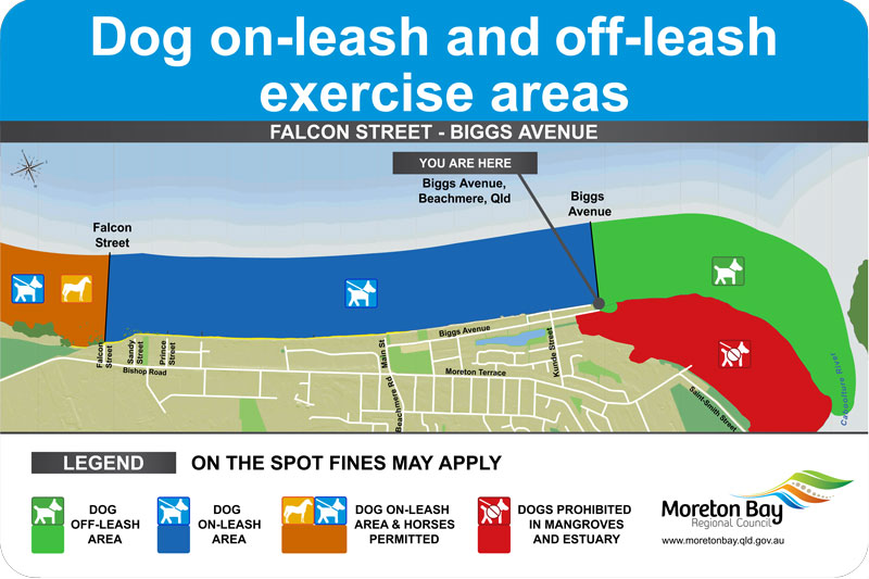 Dog on and off leash exercise areas in Beachmere